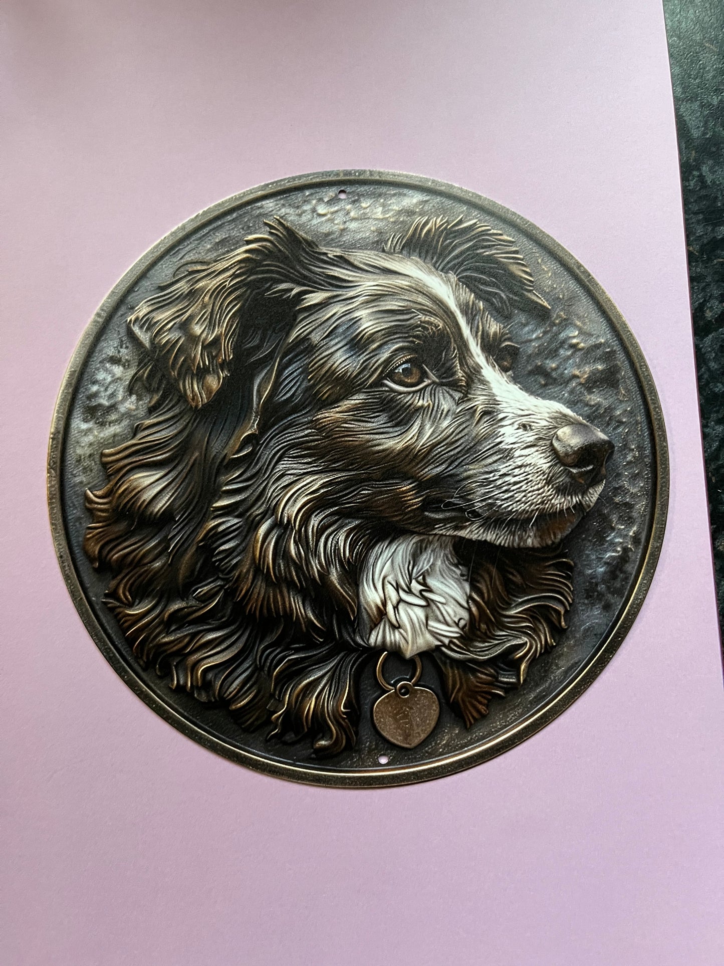 Bord Border Collie