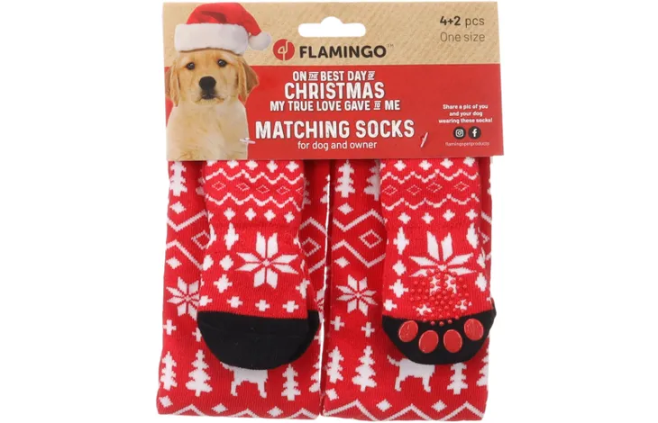 Matchende kerstsokken voor jou en jouw hond!