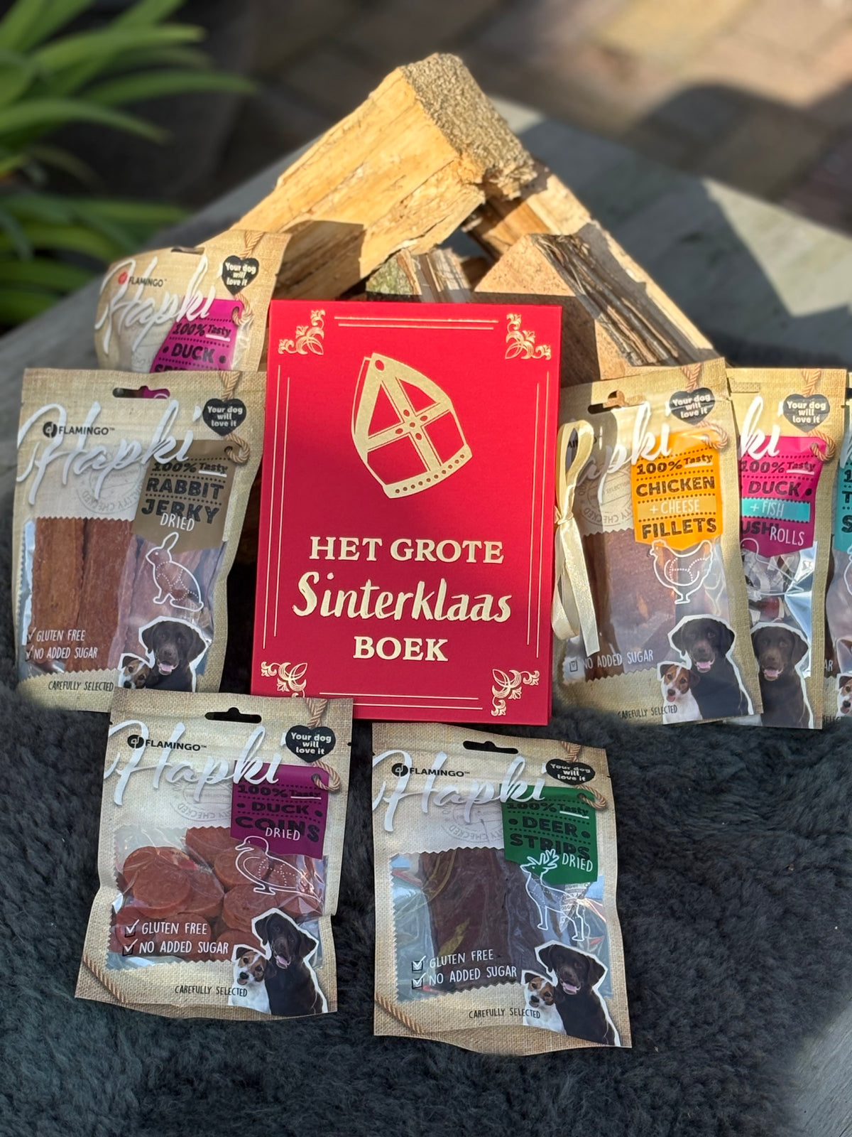 Het Grote Sinterklaas Boek πβ€οΈπΎ