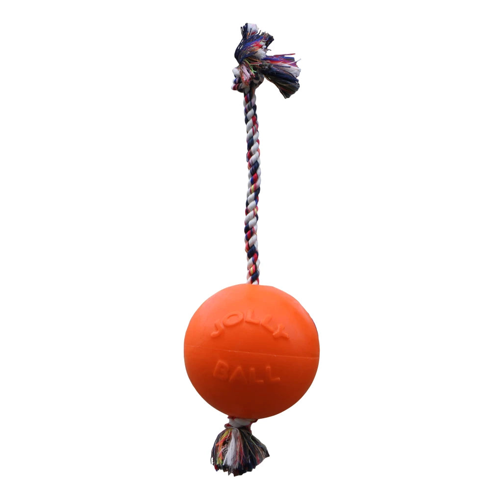 🐶 Jolly Romp-N-Roll – 20 cm