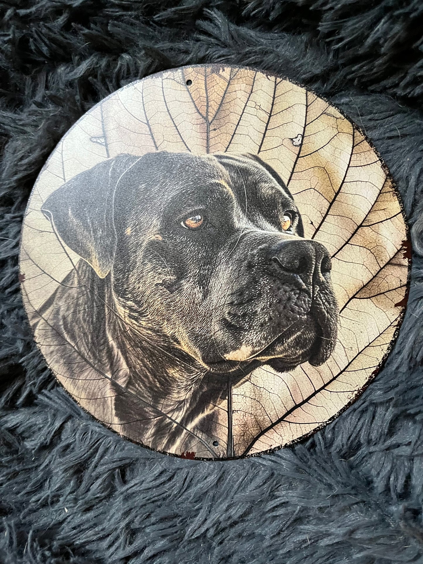Bord Dog