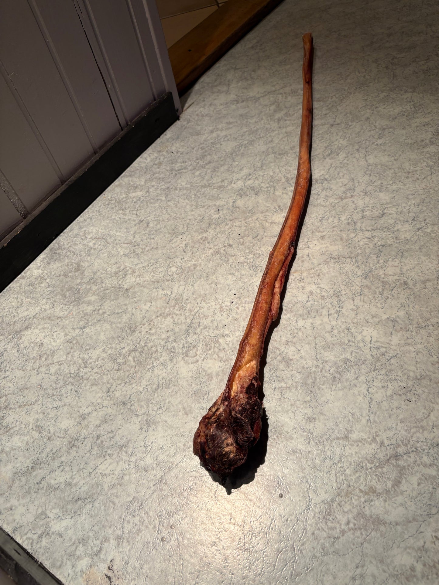 XXL Bullepees met knots