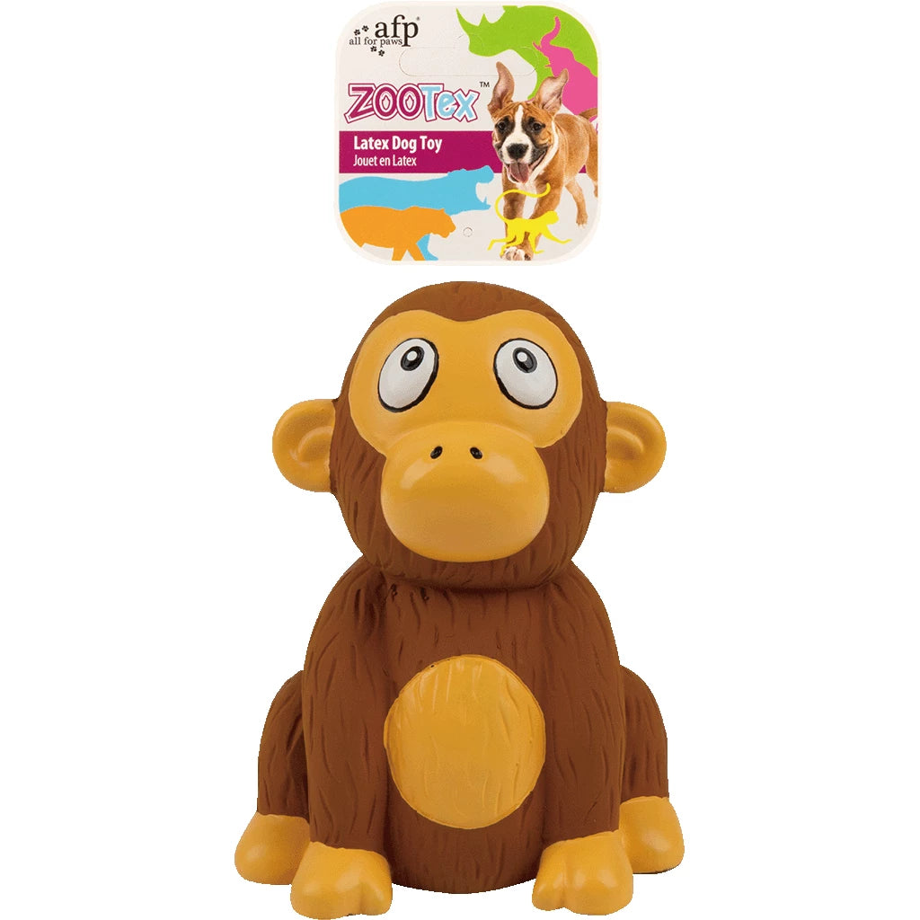 AFP ZooTex Chistopher Chimp