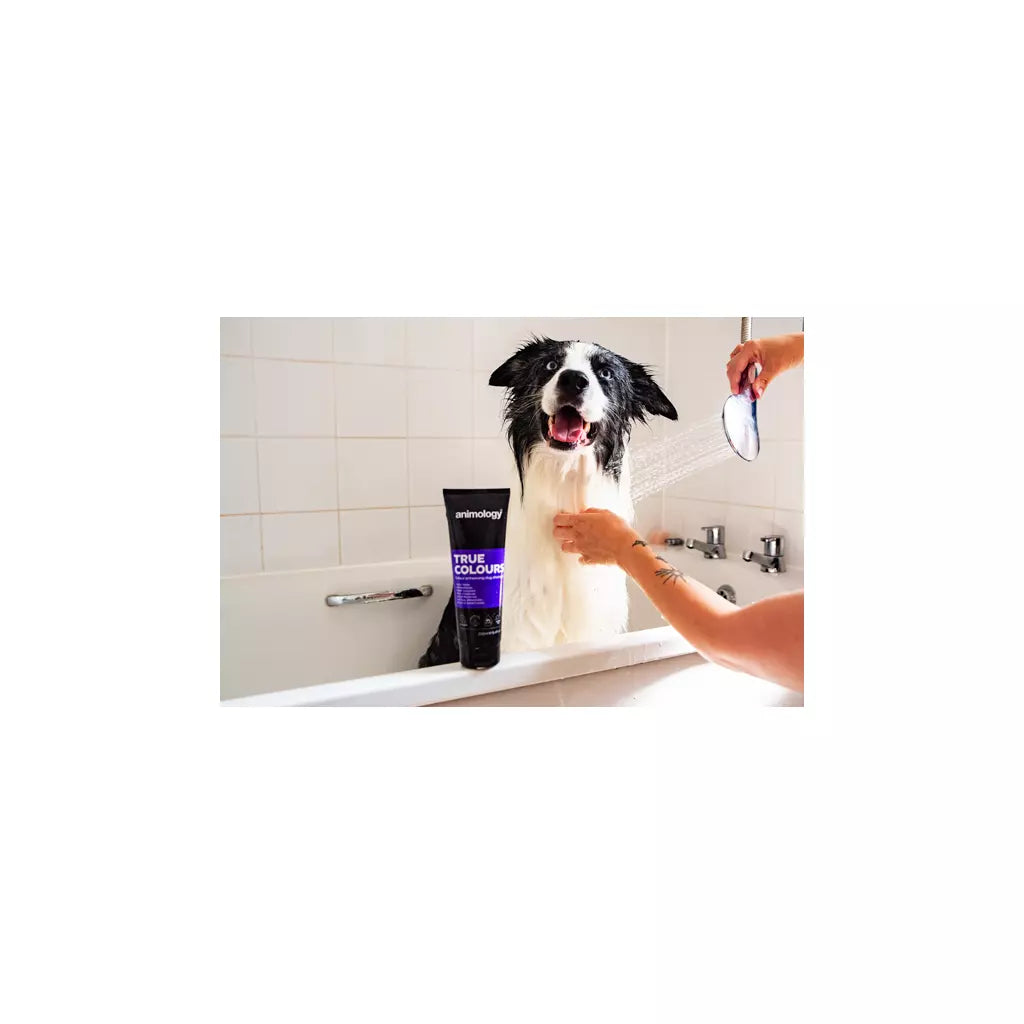 Animology True Colours Dog Shampoo