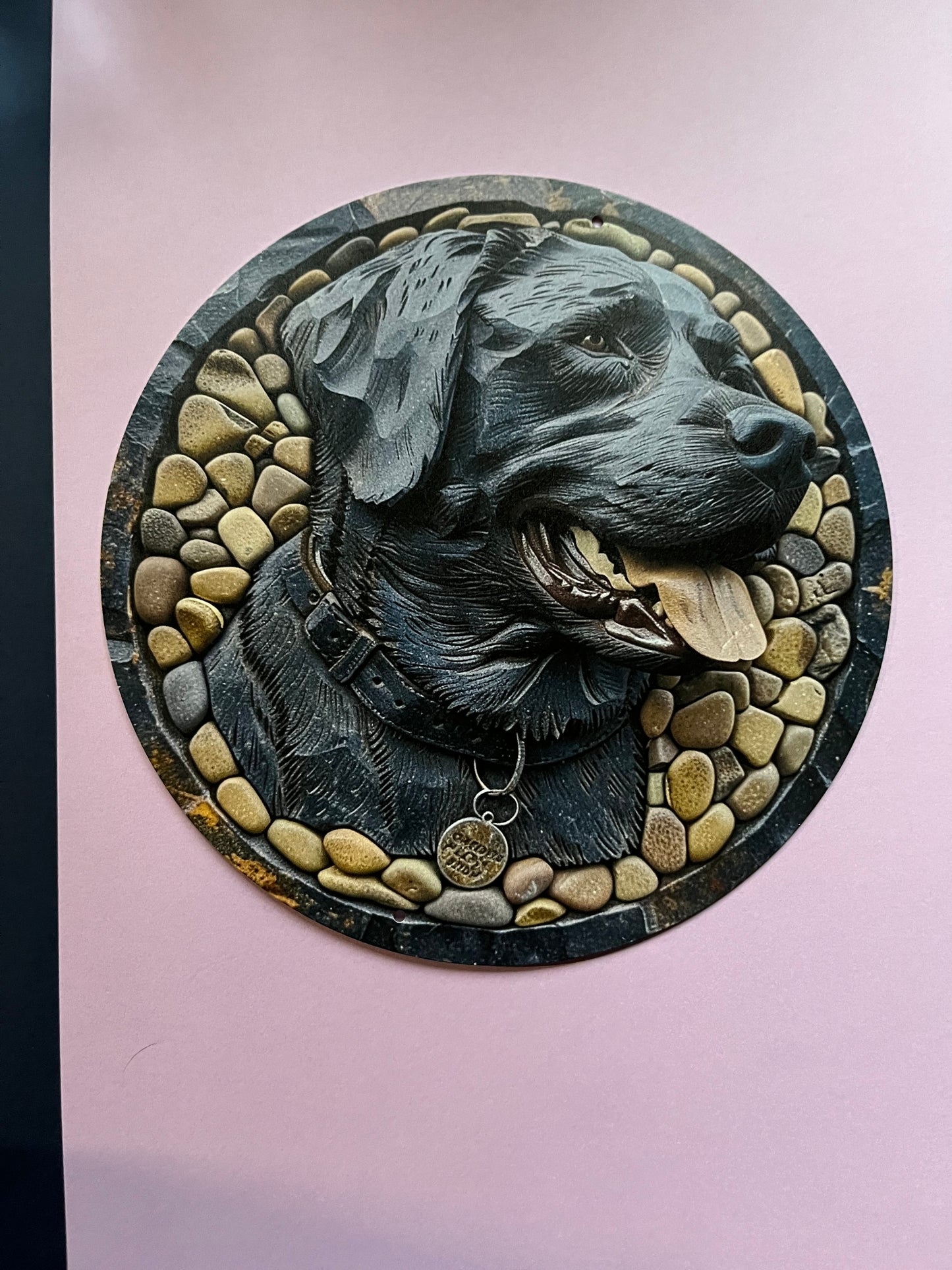 Bord Labrador