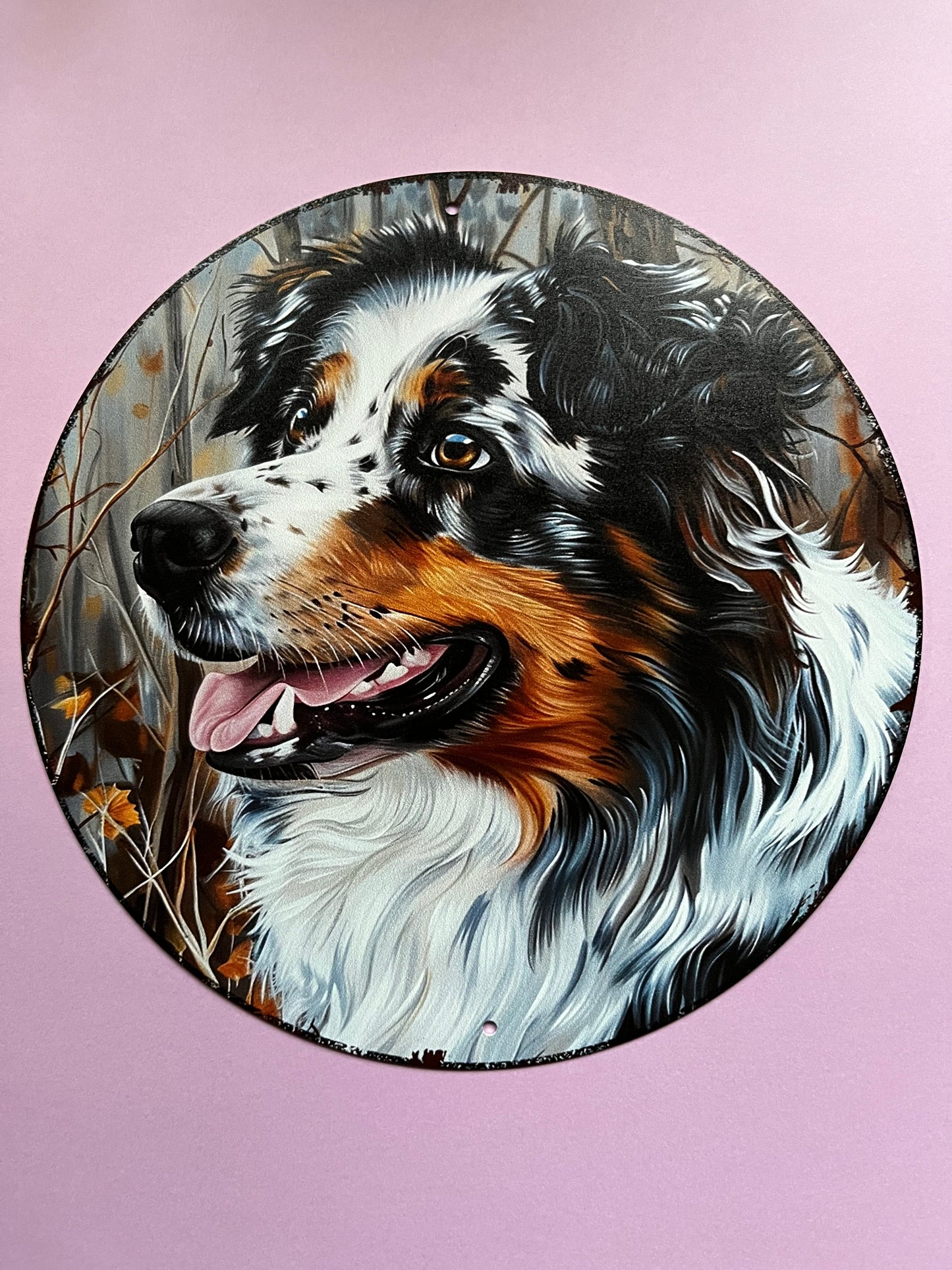 Bord Australian Shepherd