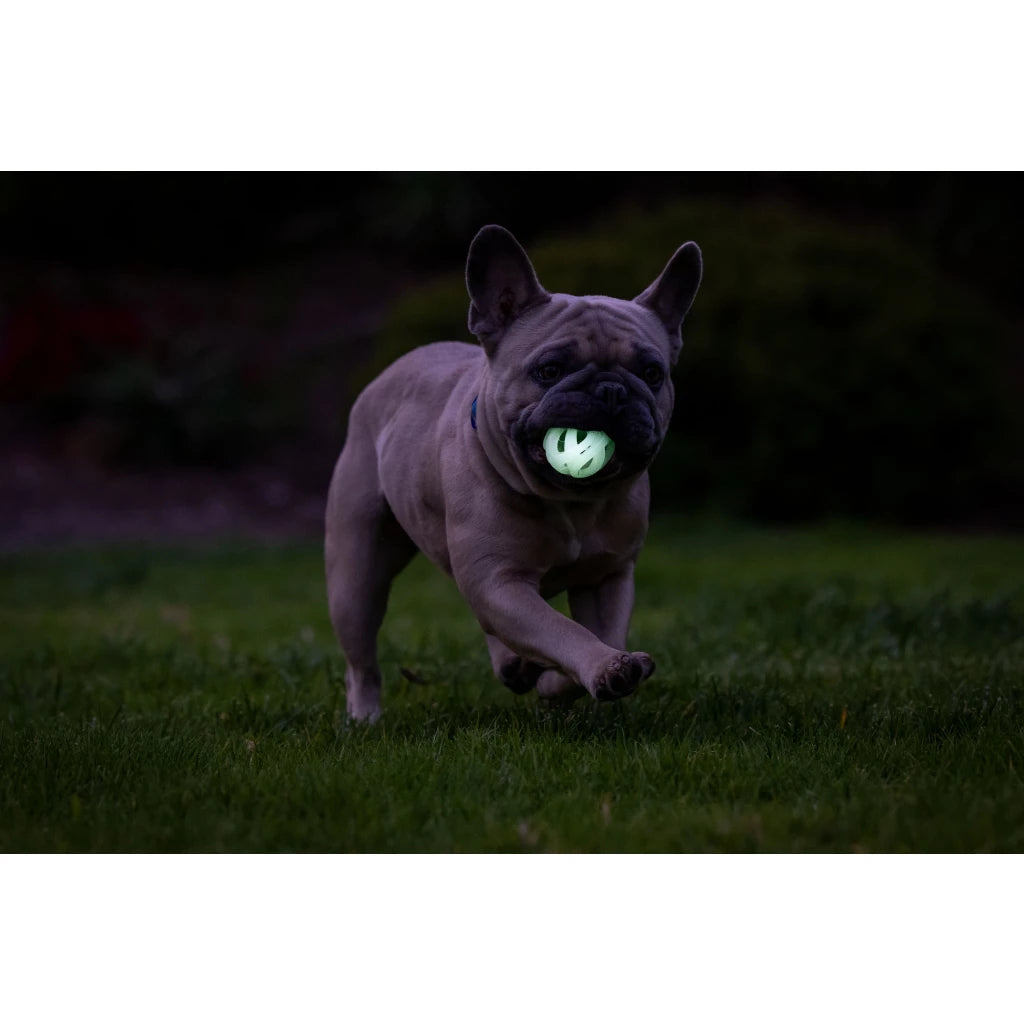 Chuckit! Air Glow Fetch Ball S (2-pack)