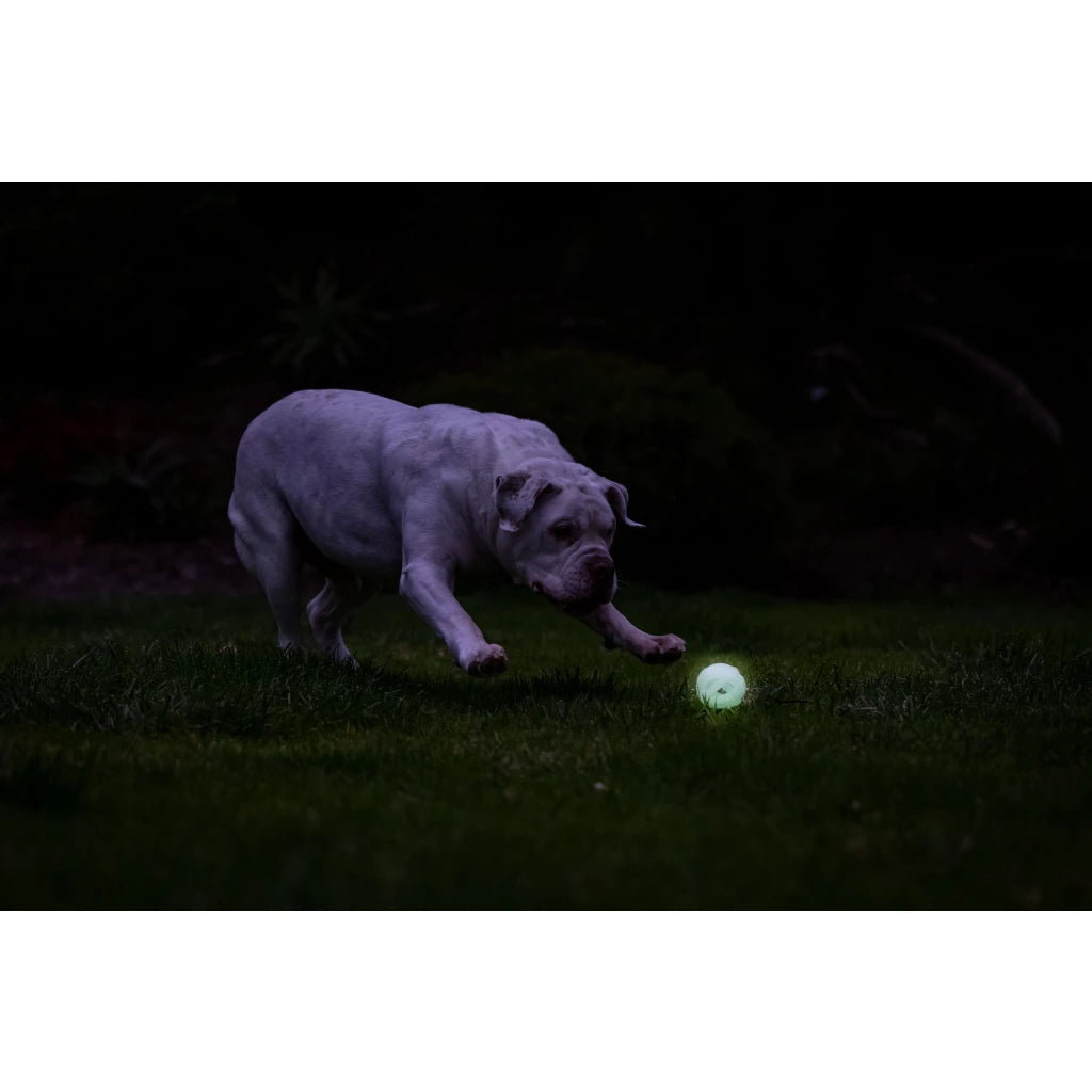 Chuckit! Air Glow Fetch Ball M ook in 2pack verkrijgbaar