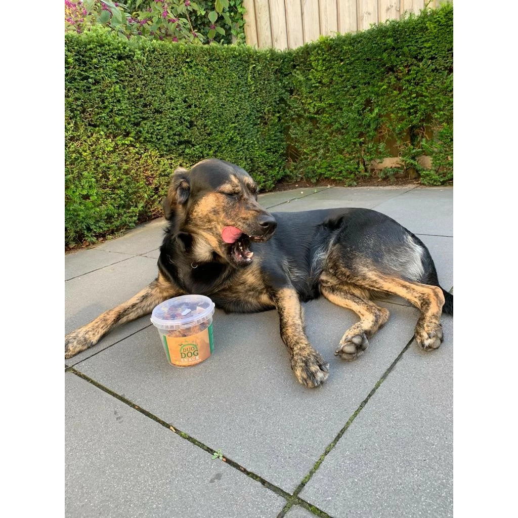 Duo Dog Honden Snacks