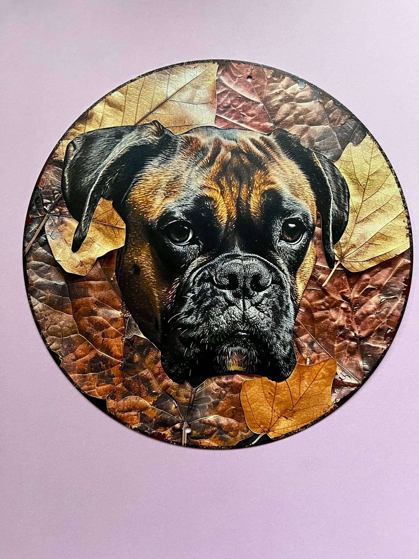 Bord Boxer