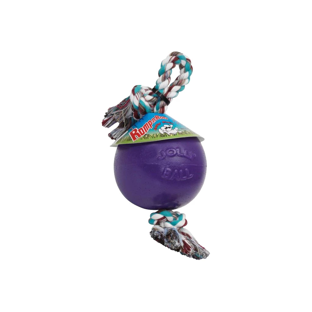 Jolly Bal Romp n Roll 20 cm Paars