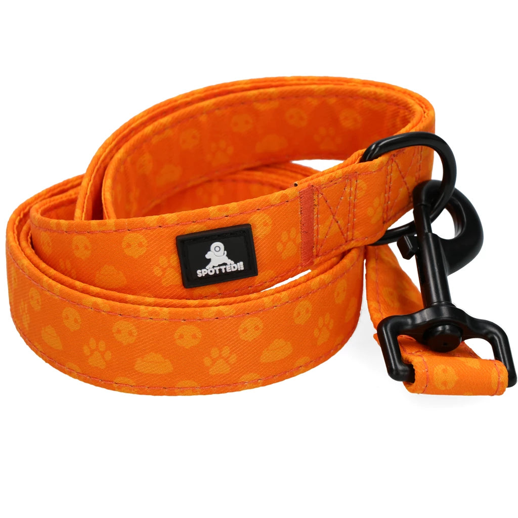 Spotted! Pro No Pull Harnas Oranje