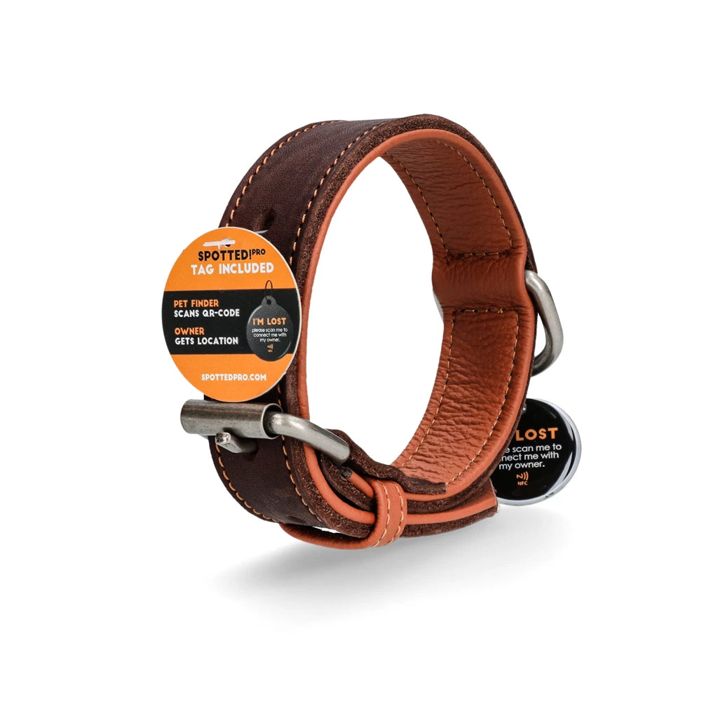 Spotted! Pro Leren Halsband