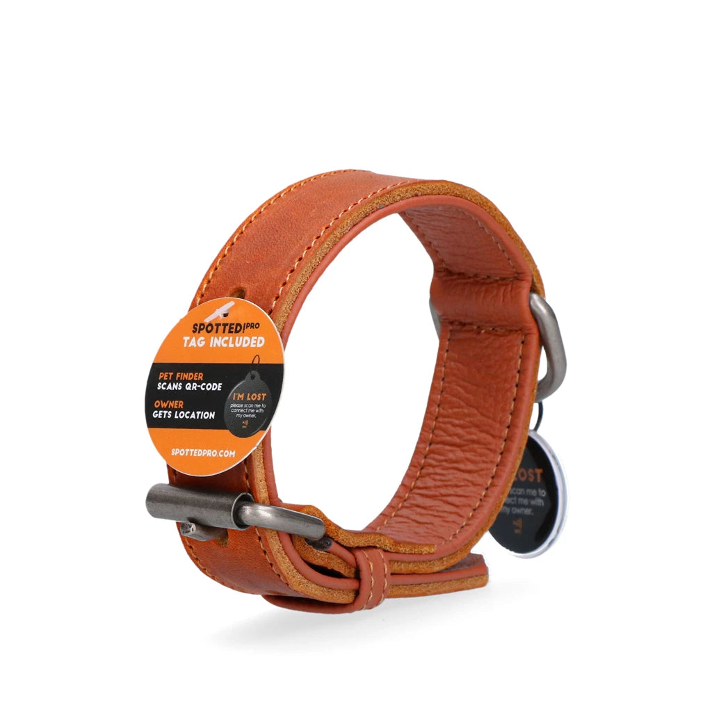 Spotted! Pro Leren Halsband