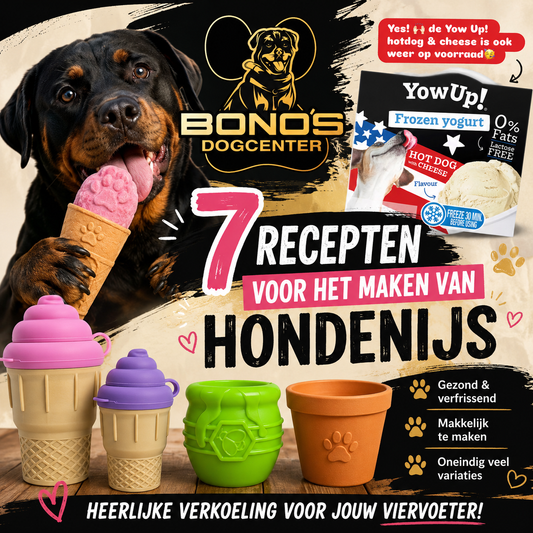 7 heerlijke hondenijs recepten voor verkoeling op warme dagen! 🍦🐶🐾