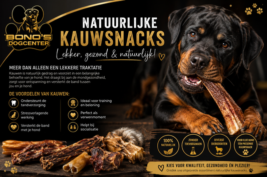 Natuurlijke kauwsnacks voor honden: welke kies je?
