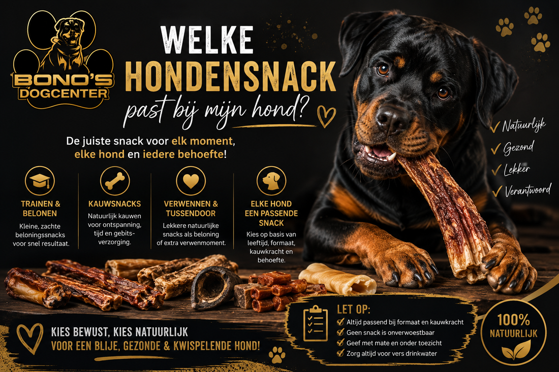 Welke hondensnack past bij mijn hond? | Bono’s Dogcenter.