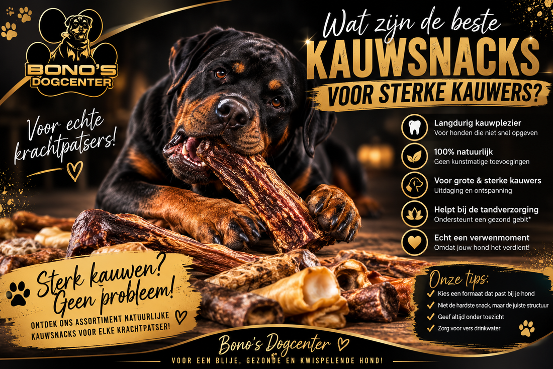 💪 Wat zijn de beste kauwsnacks voor sterke kauwers?
