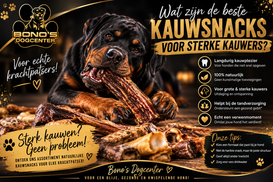 💪 Wat zijn de beste kauwsnacks voor sterke kauwers?