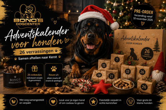Adventskalender voor honden 2026: samen aftellen naar Kerst 🎄🐾
