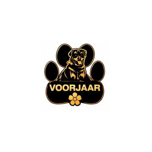 Voorjaar