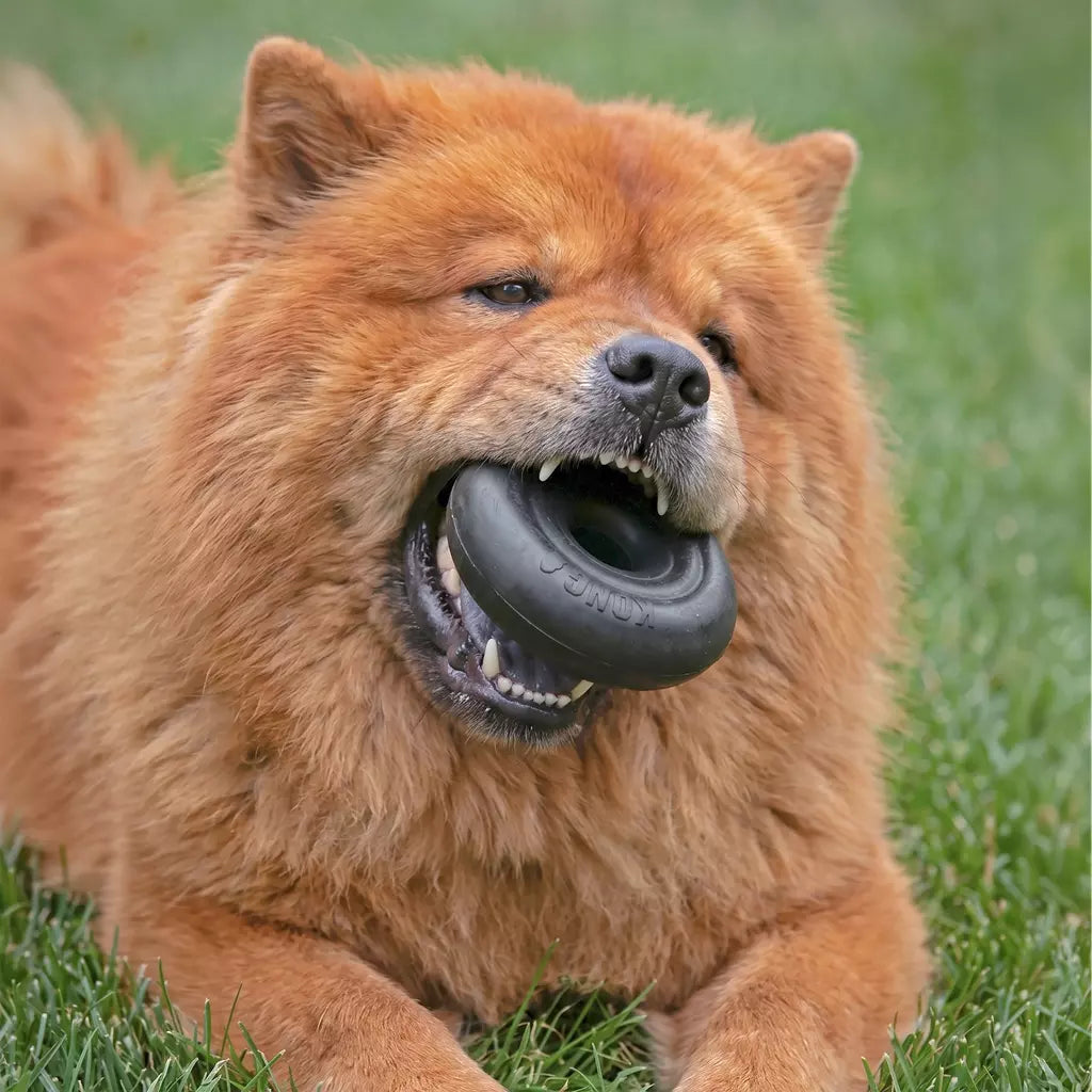 KONG Extreme Donut