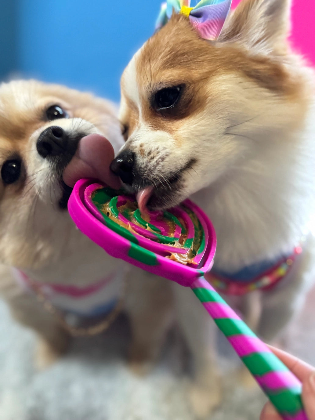 Lick Pops - lep-spatels voor honden en katten