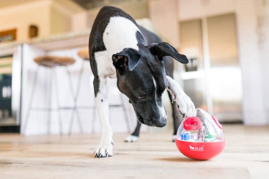 🎄 P.L.A.Y. Holiday Wobble Ball – Kerstpret met een beloning! 🎁🐾