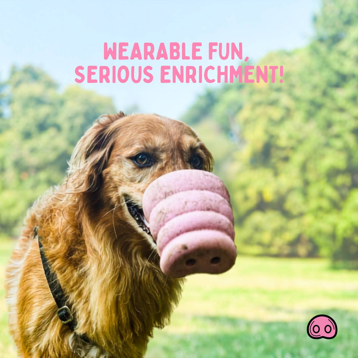 The Oinker Roze – Hondenspeelgoed & Snackdispenser