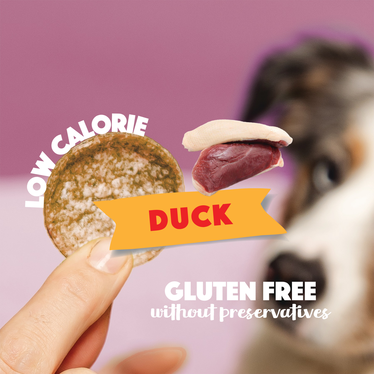 Smoofl Dog Chips – Eend