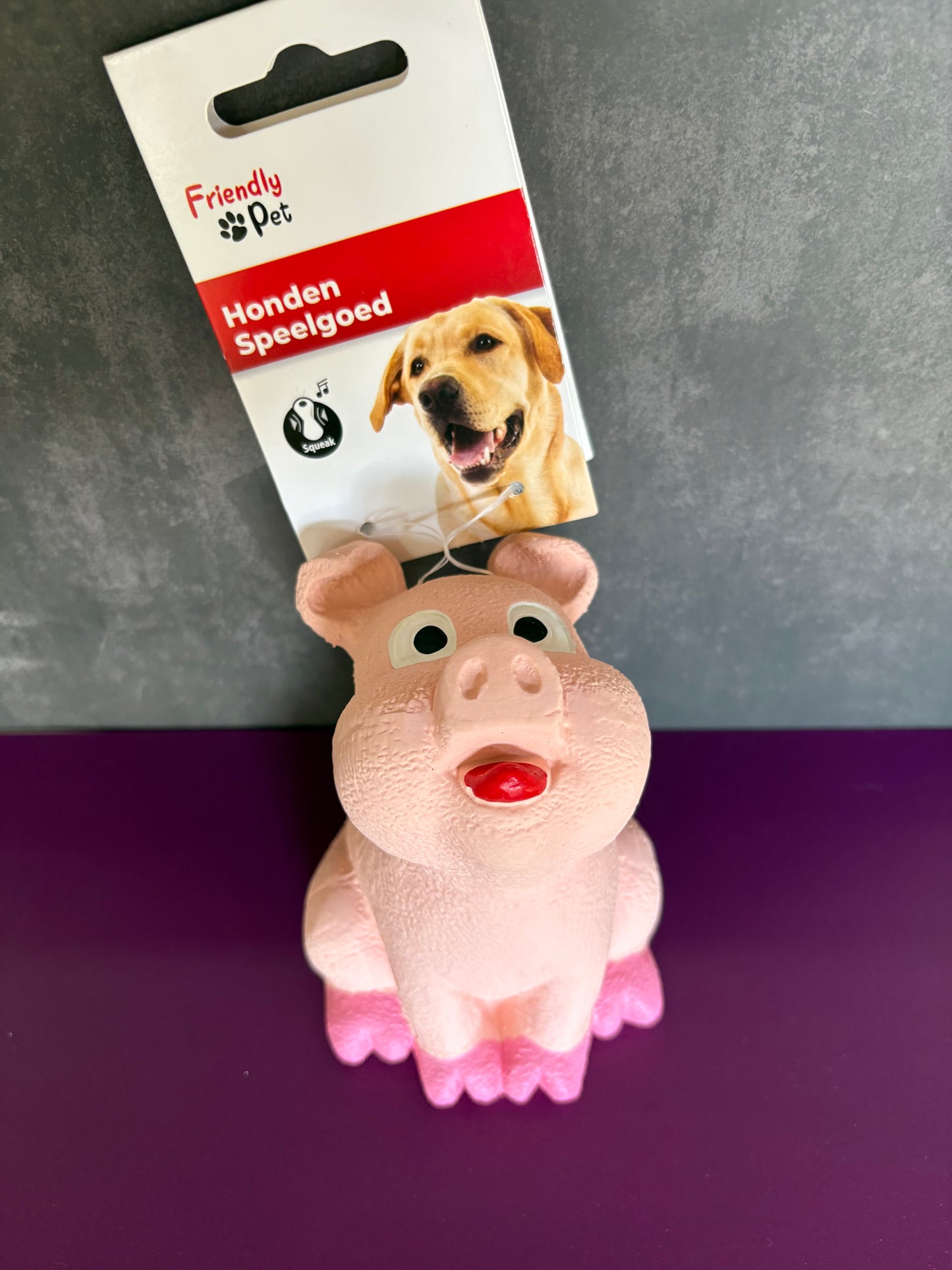 Friendly Pet Latex Varkentje met Squeaker 🐷💕