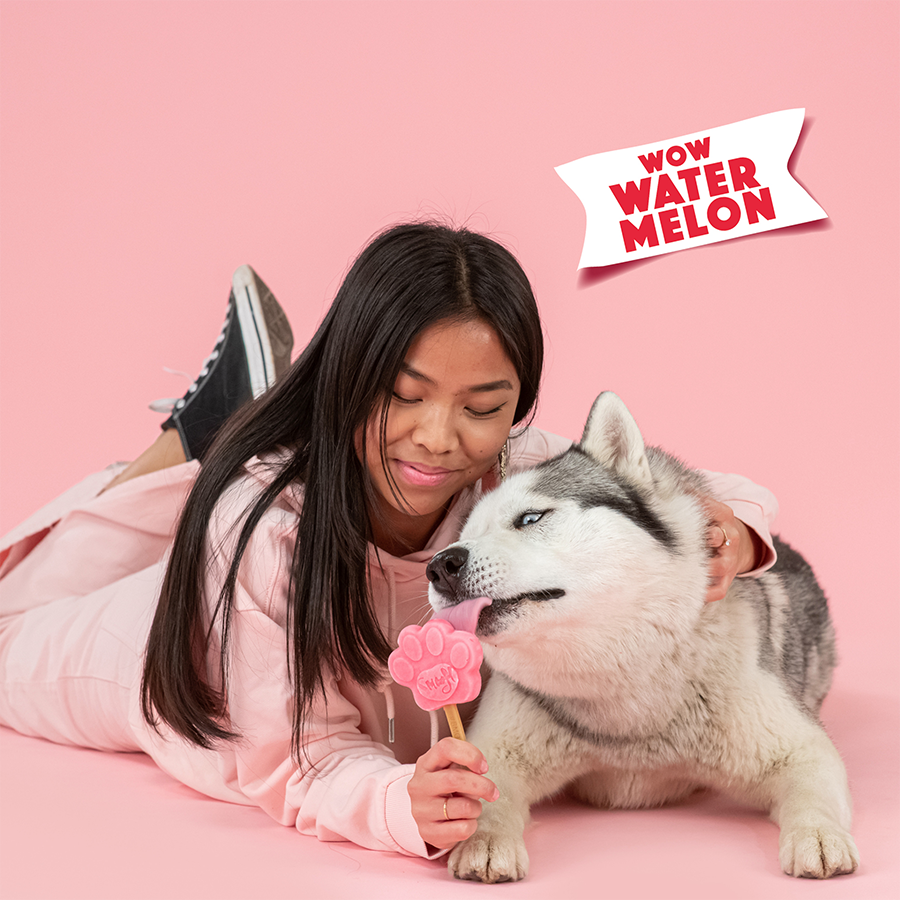Smoofl Dog Ice Watermelon