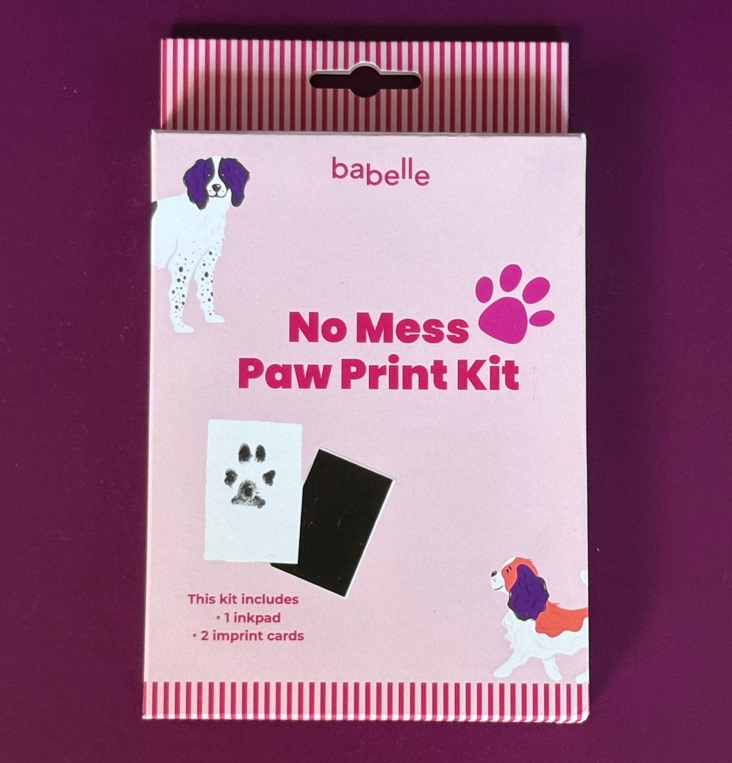Paw Print Kit