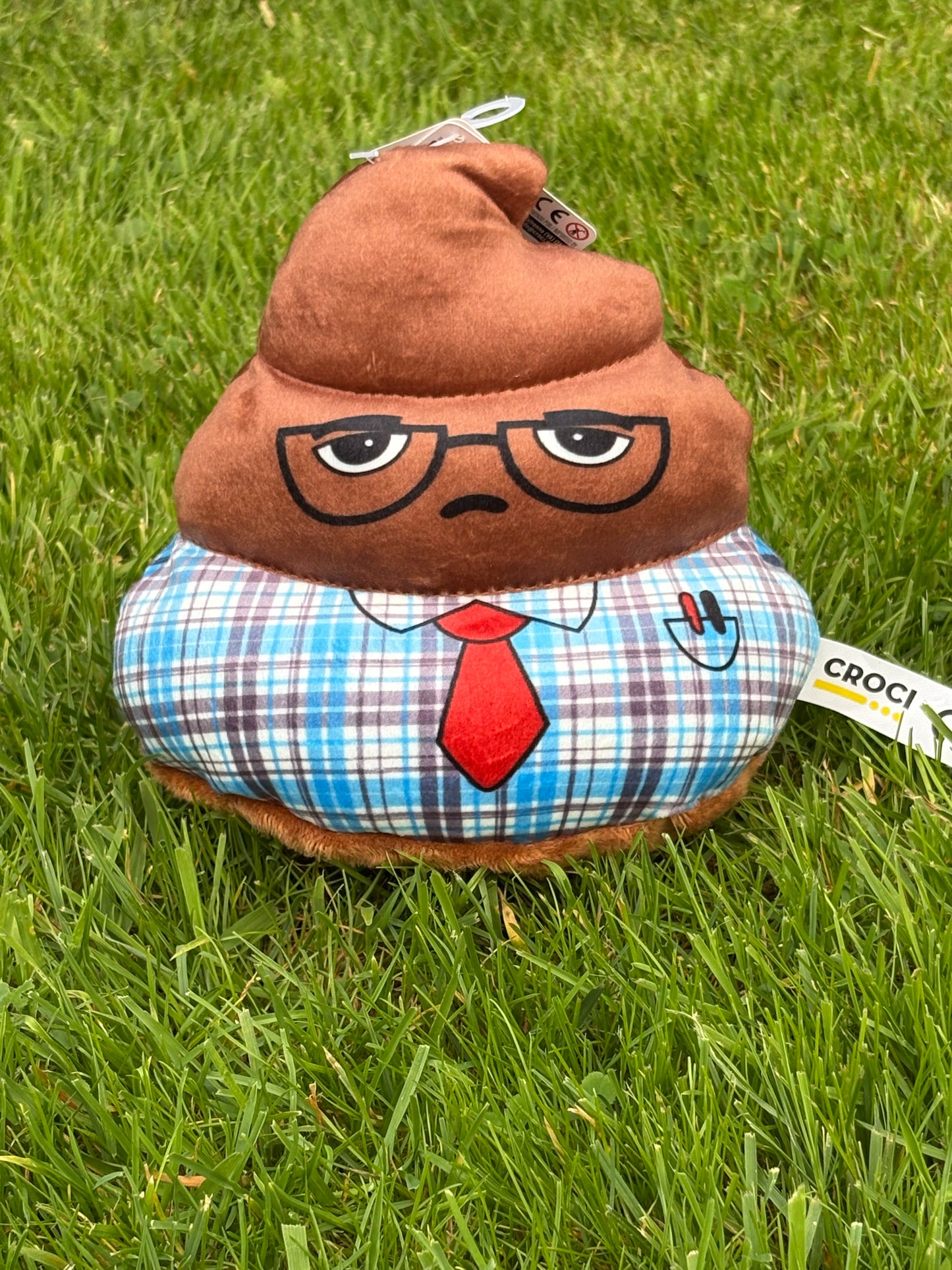 Croci Poop Career