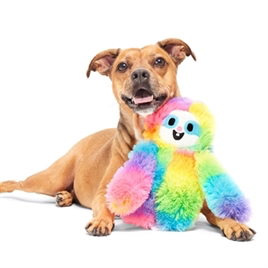 BARK Good Vibes Gary – Pluche regenboogluiaard