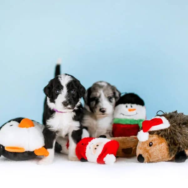 ZippyPaws Holiday Squeakie Buddies – 3-Pack