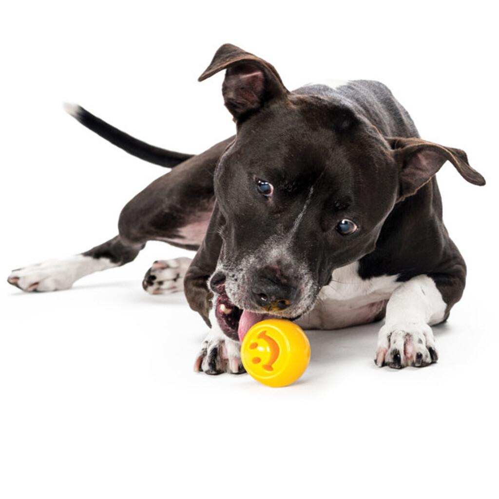 Outward Hound Orbee-Tuff Nooks Geel Smiley