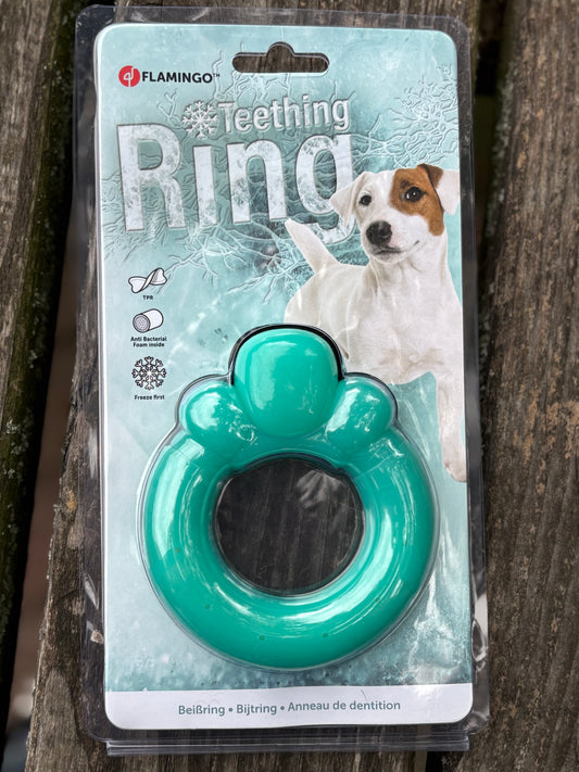 Puppy bijtring