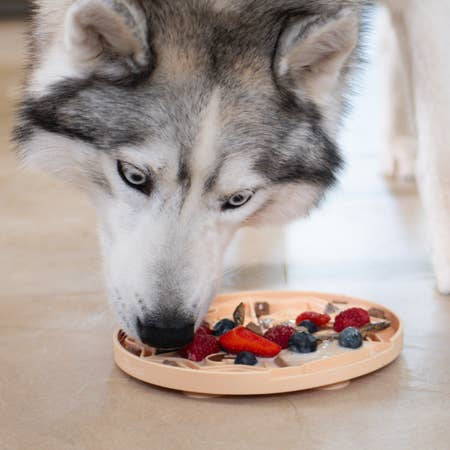 Yoomy Pizza Likmat voor Honden & Katten