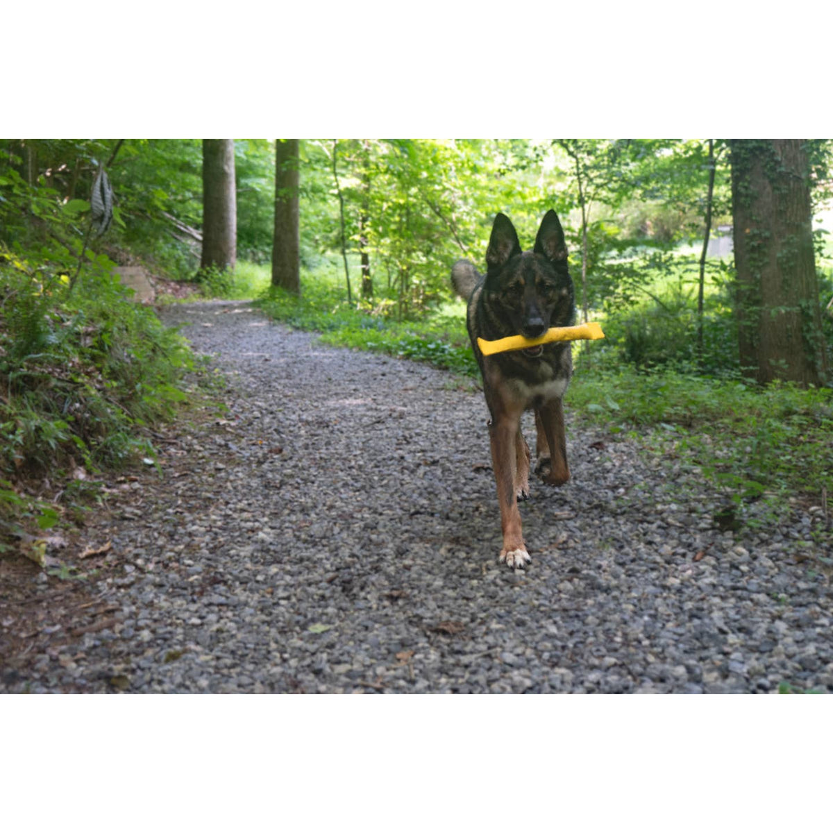 Katie’s Bumpers Flare – brandweerslang hondenspeelgoed | 29 & 42 cm