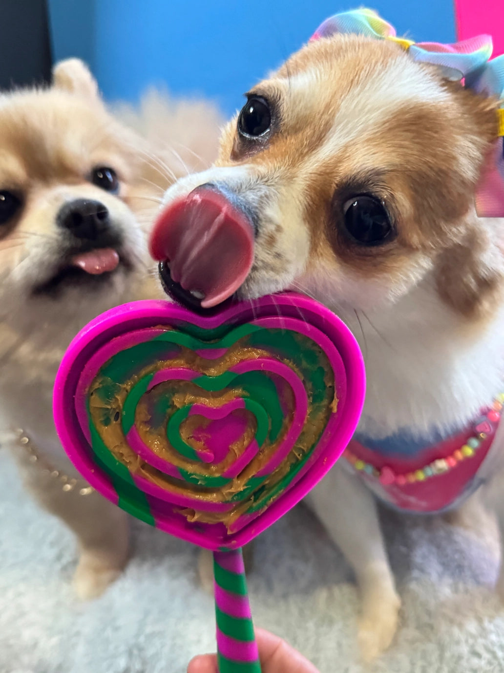 Lick Pops - lep-spatels voor honden en katten