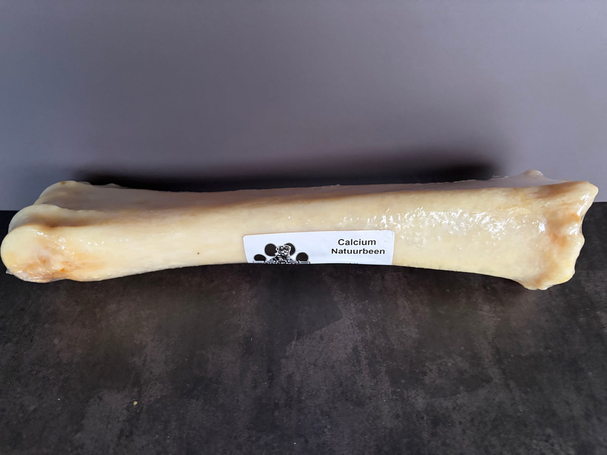 Natuurbeen Calcium – natuurlijke kauwsnack voor honden