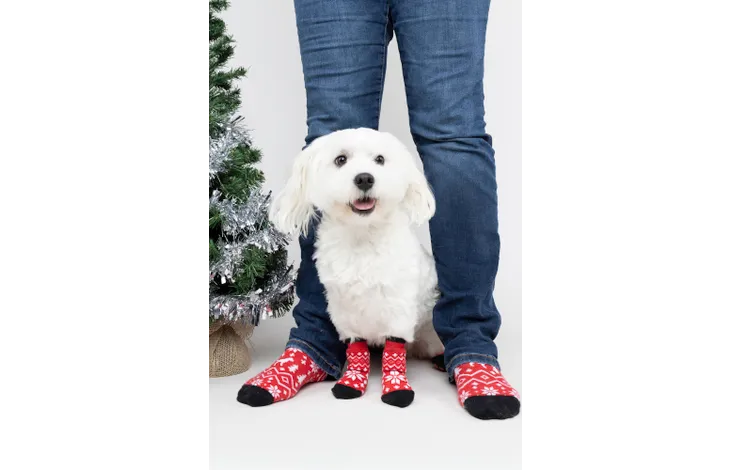 Matchende kerstsokken voor jou en jouw hond!