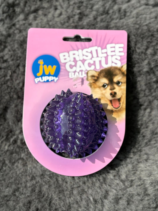 JW Puppy - Bristl-ee Cactus Ball