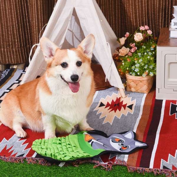 Raccoon Buddies – Raccoon Snuffle Mat