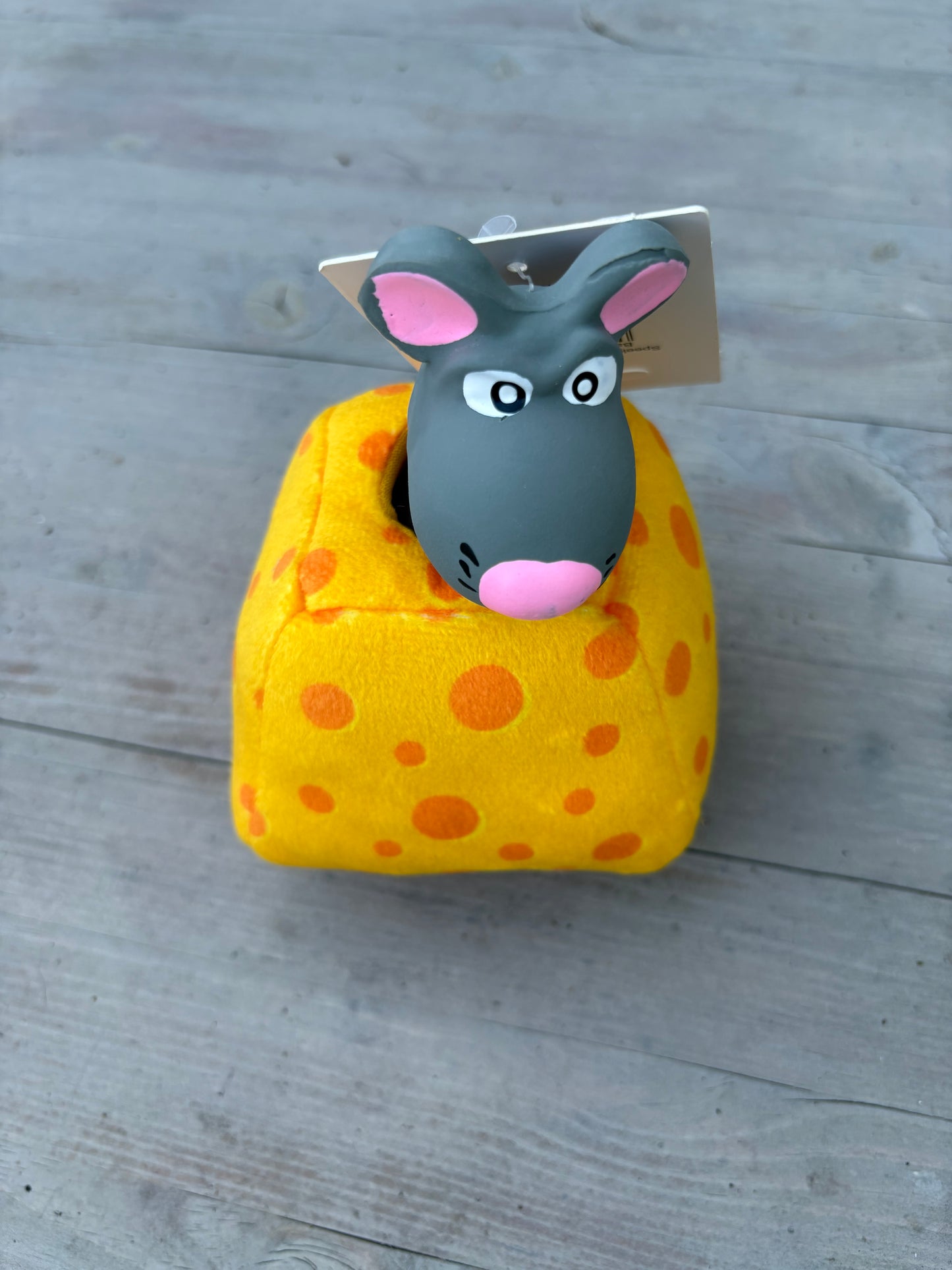 Speelgoed kaas met latex muis