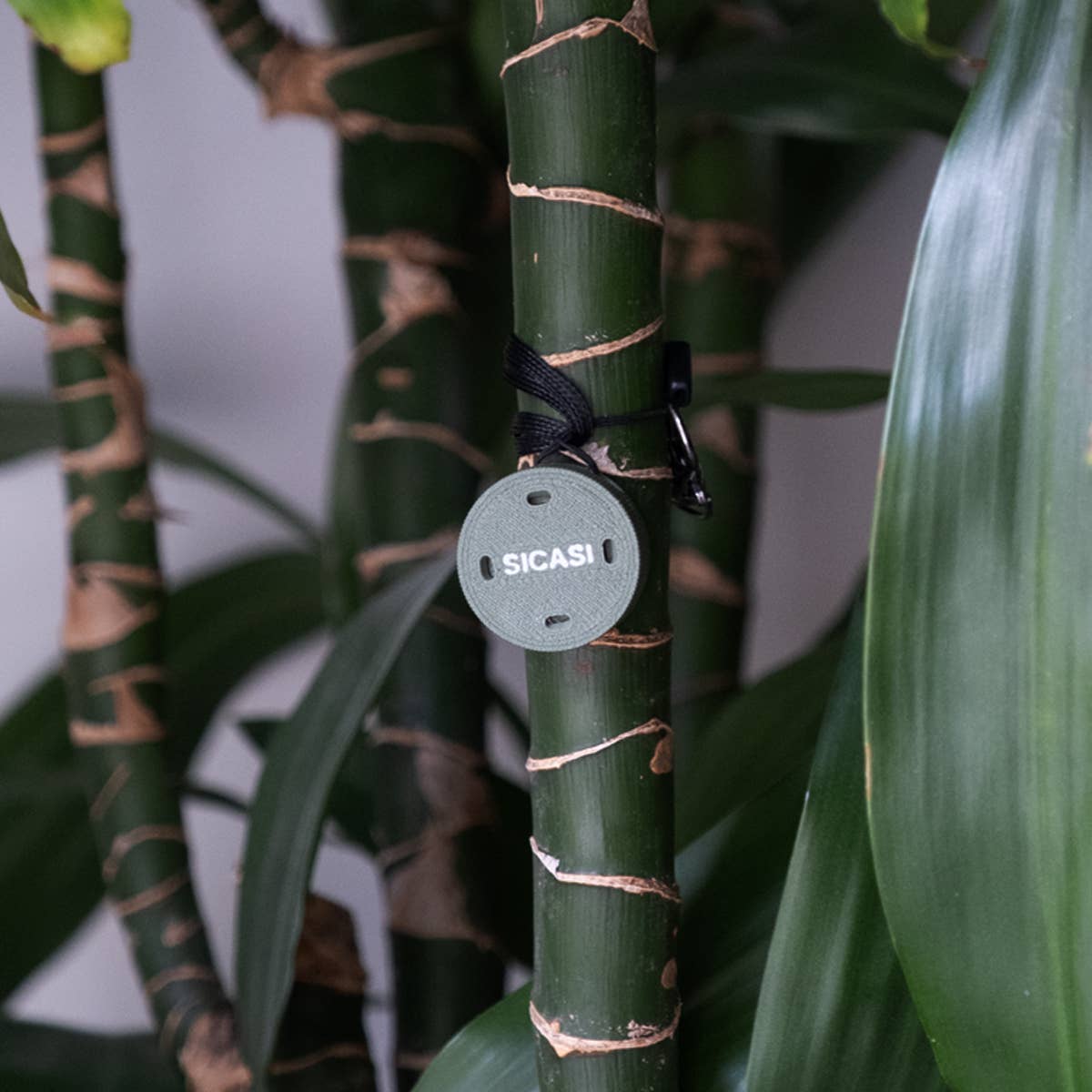 SICASI ScentPod – 3-in-1 geurhouder voor Nosework & detectietraining