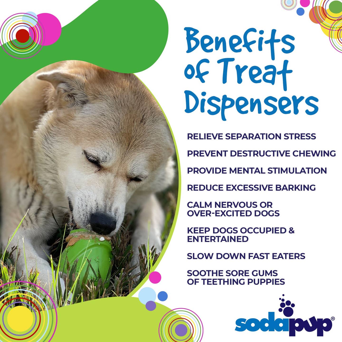 💚 SodaPup Gnome Treat Dispenser – Large