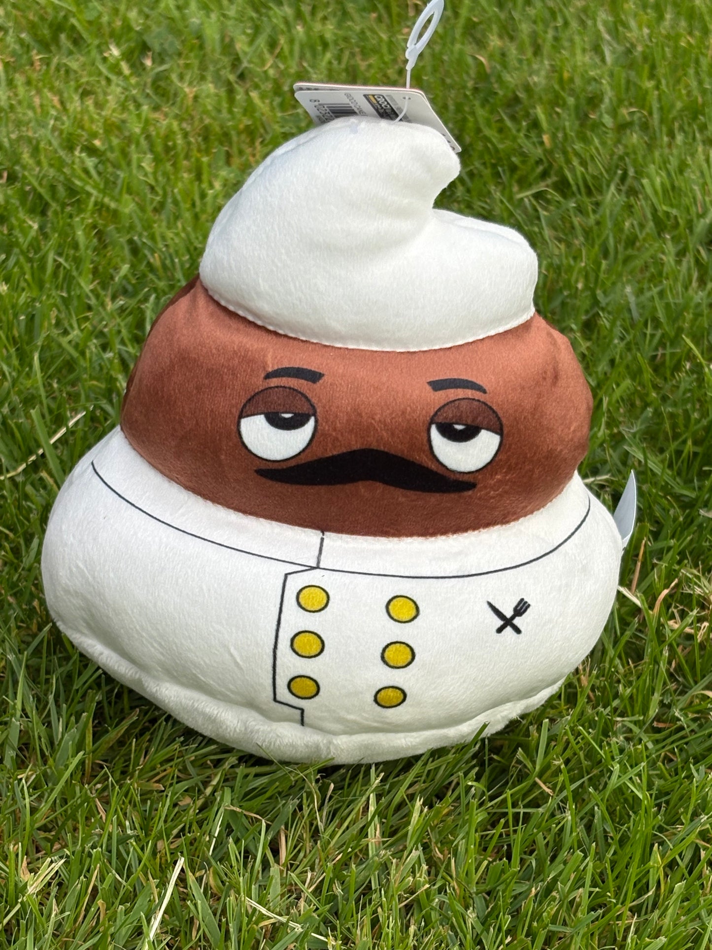 Croci Poop Career