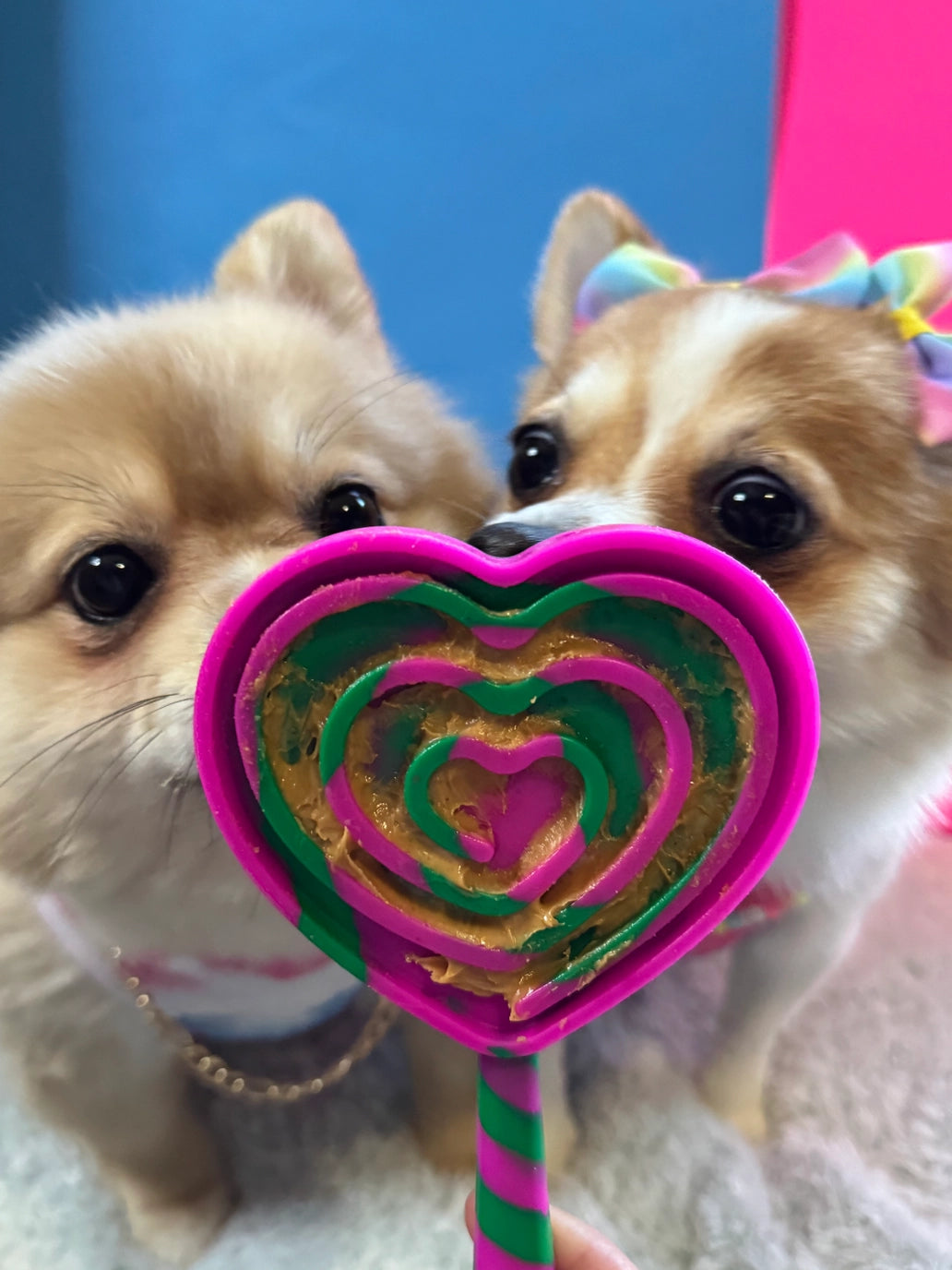 Lick Pops - lep-spatels voor honden en katten